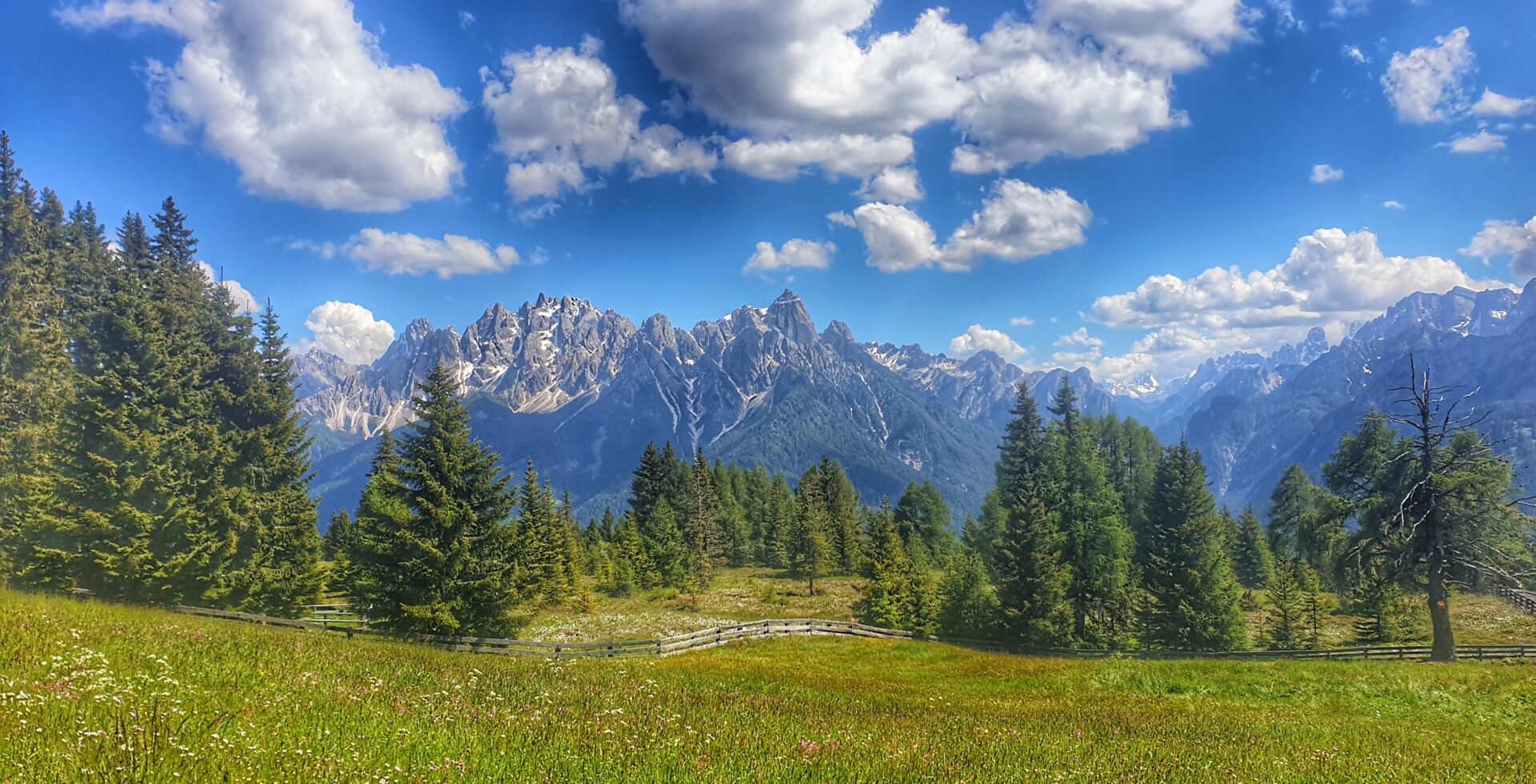 Almlandschaft in Toblach