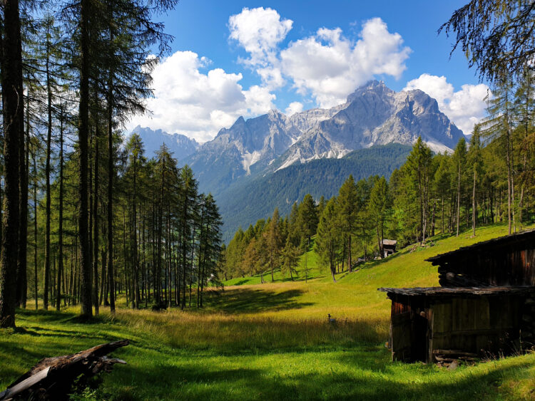 Blick auf den Gsell