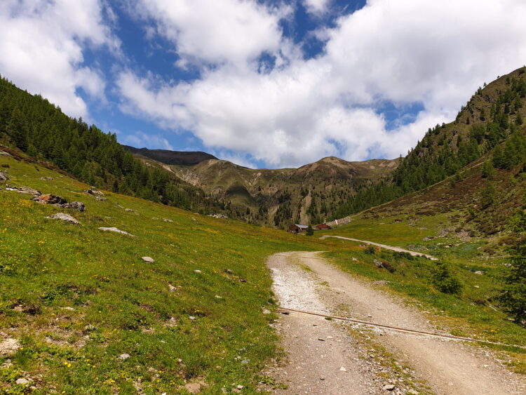 Steinberg Alm